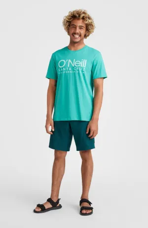 Hybrid Chino Shorts | Deep Teal